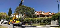 Tree Surgeons of WA image 5